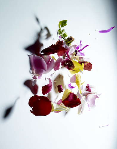 NAO FUJISHIRO PHOTO